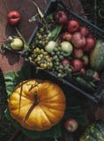 Ð ¡ herfst van de de meningsdaling van de ountrysidefotograaf de flatlay hoogste stock foto Ð ¡ herfst van de de meningsdaling van de ountrysidefotograaf de flatlay hoogste stock foto