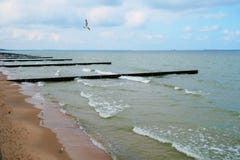 Дезертированный берег прибалтийского на солнечный день стоковая фотография rf Дезертированный берег прибалтийского на солнечный день стоковая фотография rf