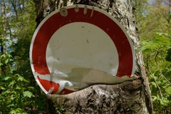 Дерево есть знак улицы стоковые фотографии rf Дерево есть знак улицы стоковые фотографии rf