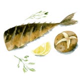 Аппетитные зажаренные рыбы с лимоном, печеными картофелями и петрушкой Иллюстрация акварели изолированная на белой предпосылке ве бесплатная иллюстрация Аппетитные зажаренные рыбы с лимоном, печеными картофелями и петрушкой Иллюстрация акварели изолированная на белой предпосылке ве бесплатная иллюстрация