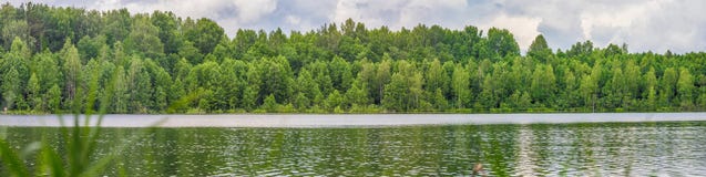 Большая панорама озера с зеленым лесом стоковое фото rf Большая панорама озера с зеленым лесом стоковое фото rf