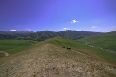 Бесконечные холмы голубое небо затишье стоковые фото Бесконечные холмы голубое небо затишье стоковые фото