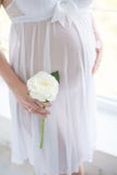 БЕРЕМЕННАЯ ДЕВУШКА В КРАСИВОМ БОЛЕЕ НИЗКОМ НИЖНЕМ БЕЛЬЕ SMOOTING НАШЕ ЖИВОТНОЕ ДЕВУШКА С ЦВЕТКАМИ НА БЕЛОЙ ПРЕДПОСЫЛКЕ стоковые изображения rf БЕРЕМЕННАЯ ДЕВУШКА В КРАСИВОМ БОЛЕЕ НИЗКОМ НИЖНЕМ БЕЛЬЕ SMOOTING НАШЕ ЖИВОТНОЕ ДЕВУШКА С ЦВЕТКАМИ НА БЕЛОЙ ПРЕДПОСЫЛКЕ стоковые изображения rf