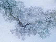 Вид с воздуха небольшого реки в зимнем дне стоковая фотография Вид с воздуха небольшого реки в зимнем дне стоковая фотография