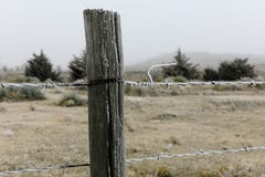 Все обернутые вверх стоковые фото Все обернутые вверх стоковые фото