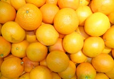 Зажарил мясо в лотке и закипело картошки в лотке стоковое изображение Зажарил мясо в лотке и закипело картошки в лотке стоковое изображение