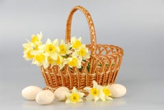 Корзина Narcissus, пасхальные яйца в корзине, женщины цветка narcissus весны желтые или день матерей стоковая фотография Корзина Narcissus, пасхальные яйца в корзине, женщины цветка narcissus весны желтые или день матерей стоковая фотография