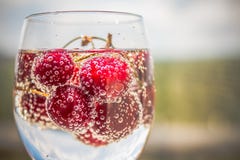 , Лимонад колы вишни или коктейль mojito замороженные летом напиток освежения в высокорослом стекле, на свете - сини и серой пред стоковые фото , Лимонад колы вишни или коктейль mojito замороженные летом напиток освежения в высокорослом стекле, на свете - сини и серой пред стоковые фото