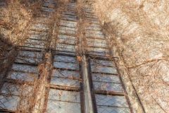 Перерастанное окно церков подробно стоковая фотография Перерастанное окно церков подробно стоковая фотография
