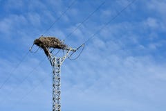 пустое гнездо птицы сделанное с ветвями деревьев вверху электрическая башня высокого напряжения которое проводит электричество к стоковая фотография rf пустое гнездо птицы сделанное с ветвями деревьев вверху электрическая башня высокого напряжения которое проводит электричество к стоковая фотография rf