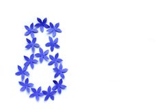 Предпосылка дня женщин с обрамленной датой космос экземпляра - 8-ое марта стоковые изображения rf Предпосылка дня женщин с обрамленной датой космос экземпляра - 8-ое марта стоковые изображения rf