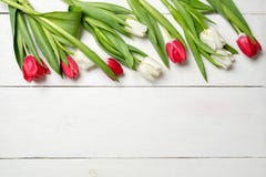 Предпосылка весны, тюльпаны на верхней части на белом деревянном столе, шаблон поздравительной открытки для женщин или день матер стоковое изображение rf Предпосылка весны, тюльпаны на верхней части на белом деревянном столе, шаблон поздравительной открытки для женщин или день матер стоковое изображение rf