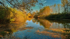 ÐžÑ ² Ð ÑŒ ½ Ð?РГ Ð?Ñ- у stockfoto ÐžÑ ² Ð ÑŒ ½ Ð?РГ Ð?Ñ- у stockfoto