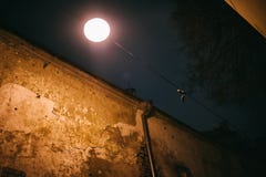 Старая винтажная стена городка Вильнюса старая с ярким фонариком улицы стоковое изображение rf Старая винтажная стена городка Вильнюса старая с ярким фонариком улицы стоковое изображение rf