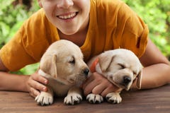 Счастливый мальчик подростка представляя с его милыми щенятами labrador стоковая фотография Счастливый мальчик подростка представляя с его милыми щенятами labrador стоковая фотография