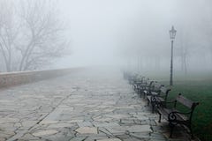 Утро Fogy в парке, стендах исчезает в плохой видимости стоковое фото rf Утро Fogy в парке, стендах исчезает в плохой видимости стоковое фото rf