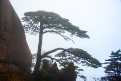 Туман горы Huangshan стоковое фото Туман горы Huangshan стоковое фото