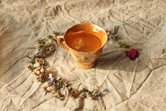 Чашка чая oolong на предпосылке белья стоковое фото Чашка чая oolong на предпосылке белья стоковое фото