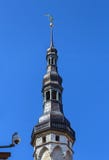 Ратуша Таллина, Эстония стоковое фото rf Ратуша Таллина, Эстония стоковое фото rf