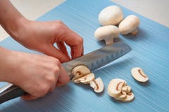 Руки женщин отрезали грибы champignon стоковая фотография Руки женщин отрезали грибы champignon стоковая фотография