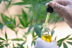Óleo na folha do cânhamo da mão do doutor, medicina médica do cannabis da marijuana imagens de stock Óleo na folha do cânhamo da mão do doutor, medicina médica do cannabis da marijuana imagens de stock