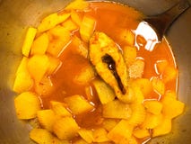 Żółty curry z ryba, Południowa kwaśna polewka zdjęcia royalty free Żółty curry z ryba, Południowa kwaśna polewka zdjęcia royalty free