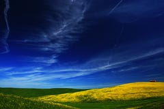 Żółty kwiatu pole z jasnym zmrokiem - niebieskie niebo, Tuscany, Włochy Obraz Stock Żółty kwiatu pole z jasnym zmrokiem - niebieskie niebo, Tuscany, Włochy Obraz Stock