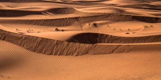 Ökensolnedgångexponering nära Dubai, Förenade Arabemiraten royaltyfri bild Ökensolnedgångexponering nära Dubai, Förenade Arabemiraten royaltyfri bild