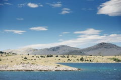 ökornati arkivbilder ökornati arkivbilder