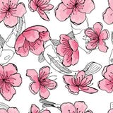 Östlig modell 2 vektor illustrationer Östlig modell 2 vektor illustrationer
