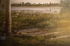Łódź przy jeziorem fotografia stock Łódź przy jeziorem fotografia stock