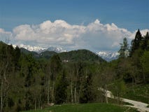 Łąka z świerczyną i skoszona trawa z kwiatami, w tle tam jesteśmy niektóre wzgórzami i domami Zielona nietknięta natura Sposób o zdjęcie royalty free Łąka z świerczyną i skoszona trawa z kwiatami, w tle tam jesteśmy niektóre wzgórzami i domami Zielona nietknięta natura Sposób o zdjęcie royalty free