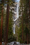 Ścieżka Yosemite spadki obraz royalty free Ścieżka Yosemite spadki obraz royalty free