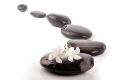 ścieżki zen