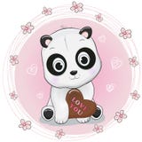 Śliczna kreskówki pandy mienia czekolada na różowym tle ilustracja wektor Śliczna kreskówki pandy mienia czekolada na różowym tle ilustracja wektor