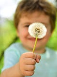 Śliczny dziecko pokazuje dandelion kwiatu, wiosny i pięknej natury, Dzieci?stwo w naturze ch?opak w k?pieliskach rado?ci ma?y den obrazy stock Śliczny dziecko pokazuje dandelion kwiatu, wiosny i pięknej natury, Dzieci?stwo w naturze ch?opak w k?pieliskach rado?ci ma?y den obrazy stock