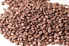 świeża kawa fasoli zdjęcia stock świeża kawa fasoli zdjęcia stock