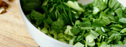 Świeża Pak Choi sałatka w piłce obrazy stock Świeża Pak Choi sałatka w piłce obrazy stock