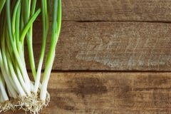 Świeża wiosny cebula na drewno stole Zamyka w górę scallions o lub wiosny obrazy royalty free Świeża wiosny cebula na drewno stole Zamyka w górę scallions o lub wiosny obrazy royalty free