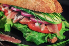 Świeży piec na grillu żyto ściska z sardelą, sałatkowymi liśćmi, ogórkiem, cebulą, pomidorami i szczypiorkami, tonowanie selekcyj zdjęcie stock Świeży piec na grillu żyto ściska z sardelą, sałatkowymi liśćmi, ogórkiem, cebulą, pomidorami i szczypiorkami, tonowanie selekcyj zdjęcie stock