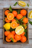 Świeży tangerine clementine, cytryny z liśćmi w drewnianej tacy na drewnianym tle i fotografia stock Świeży tangerine clementine, cytryny z liśćmi w drewnianej tacy na drewnianym tle i fotografia stock