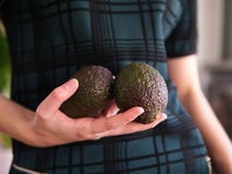 Żeńska ręka trzyma dwa avocados zdjęcie royalty free Żeńska ręka trzyma dwa avocados zdjęcie royalty free