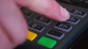 Żeńska ręka z bank kartą używać terminal dla zapłaty Pojęcie bezgotówkowa zapłata zdjęcie wideo Żeńska ręka z bank kartą używać terminal dla zapłaty Pojęcie bezgotówkowa zapłata zdjęcie wideo