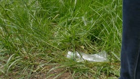 Żeńska stopa w biel butów kroku na plastikowym bidonie w zielonej trawie w parku lub lesie Oprócz środowiska i zbiory wideo Żeńska stopa w biel butów kroku na plastikowym bidonie w zielonej trawie w parku lub lesie Oprócz środowiska i zbiory wideo