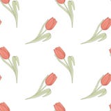 Άνευ ραφής floral σχέδιο με τα λουλούδια τουλιπών Λεπτή ρομαντική ταπετσαρία, κλωστοϋφαντουργικά προϊόντα, συσκευασία Διανυσματικ απεικόνιση αποθεμάτων Άνευ ραφής floral σχέδιο με τα λουλούδια τουλιπών Λεπτή ρομαντική ταπετσαρία, κλωστοϋφαντουργικά προϊόντα, συσκευασία Διανυσματικ απεικόνιση αποθεμάτων