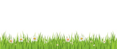 άνευ ραφής άνοιξη χλόης λο&ups ελεύθερη απεικόνιση δικαιώματος άνευ ραφής άνοιξη χλόης λο&ups ελεύθερη απεικόνιση δικαιώματος