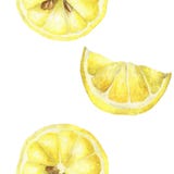 Άνευ ραφής απεικόνιση watercolor της φέτας λεμονιών στο άσπρο υπόβαθρο ελεύθερη απεικόνιση δικαιώματος Άνευ ραφής απεικόνιση watercolor της φέτας λεμονιών στο άσπρο υπόβαθρο ελεύθερη απεικόνιση δικαιώματος