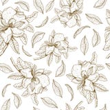 Άνευ ραφής διανυσματικό σχέδιο με το magnolia και τα φύλλα Βοτανική απεικόνιση διανυσματική απεικόνιση Άνευ ραφής διανυσματικό σχέδιο με το magnolia και τα φύλλα Βοτανική απεικόνιση διανυσματική απεικόνιση