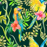 Άνευ ραφής σχέδιο Macaw Επίκαιρα λουλούδι και φύλλα, hibiscus παπαγάλος τροπικός εξωτικός Διάνυσμα για το σχέδιό σας απεικόνιση αποθεμάτων Άνευ ραφής σχέδιο Macaw Επίκαιρα λουλούδι και φύλλα, hibiscus παπαγάλος τροπικός εξωτικός Διάνυσμα για το σχέδιό σας απεικόνιση αποθεμάτων