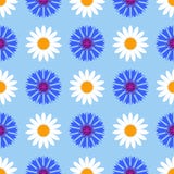 Άνευ ραφής υπόβαθρο σχεδίων με τα cornflowers και chamomiles, ζωηρόχρωμη απεικόνιση διανυσματική απεικόνιση Άνευ ραφής υπόβαθρο σχεδίων με τα cornflowers και chamomiles, ζωηρόχρωμη απεικόνιση διανυσματική απεικόνιση
